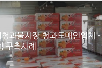 [도소매, 유통] 강서청과물시장 청과도매인업체 (30곳이상사용중) - 분류별 매출조회 및 재고관리 시스템 구