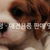 [전문점POS/유통/재고관리] 퍼피덩 - 애견용품 판매 및 카페 선불 프로그램 혼용 시스템 구축사례 
